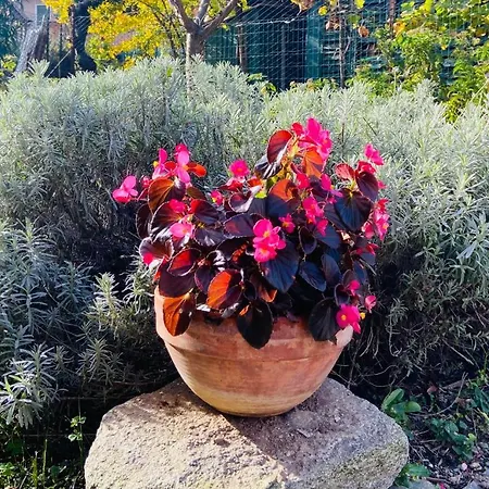 Apartament Lakes&hills Erba